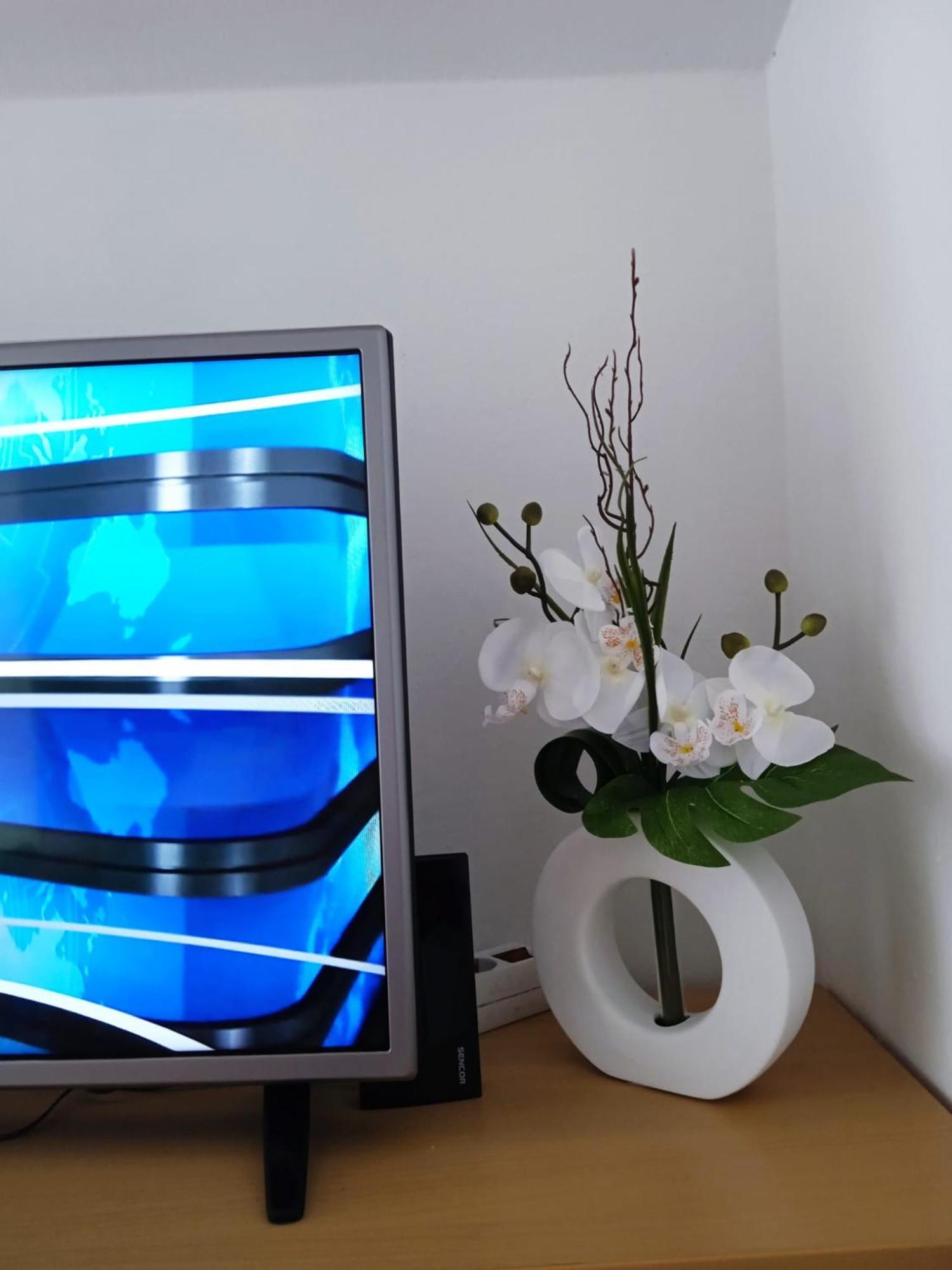 Mala Basina -Maslina Apartment Vrbanj ภายนอก รูปภาพ