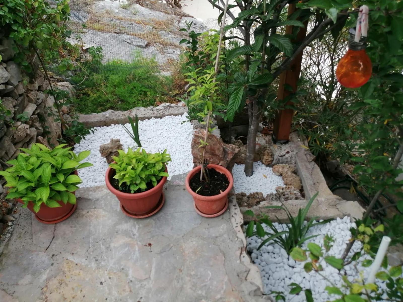 Mala Basina -Maslina Apartment Vrbanj ภายนอก รูปภาพ